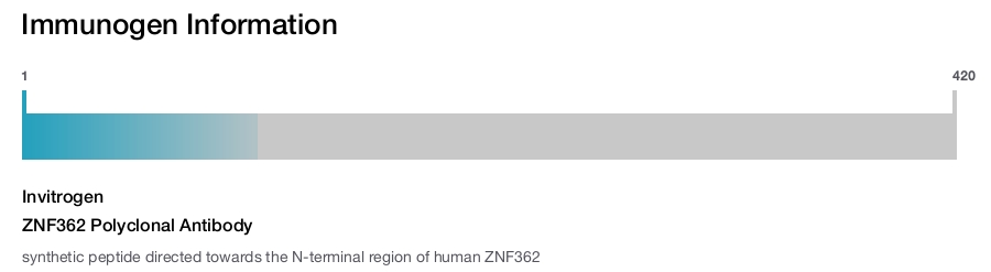 ZNF362 Polyclonal Antibody