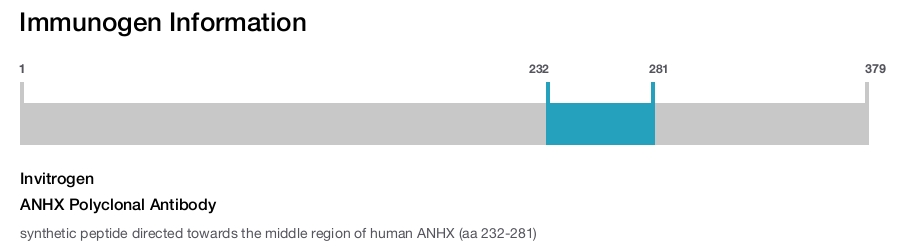 ANHX Polyclonal Antibody