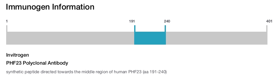 PHF23 Polyclonal Antibody