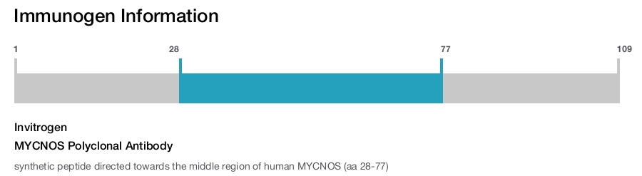 MYCNOS Polyclonal Antibody
