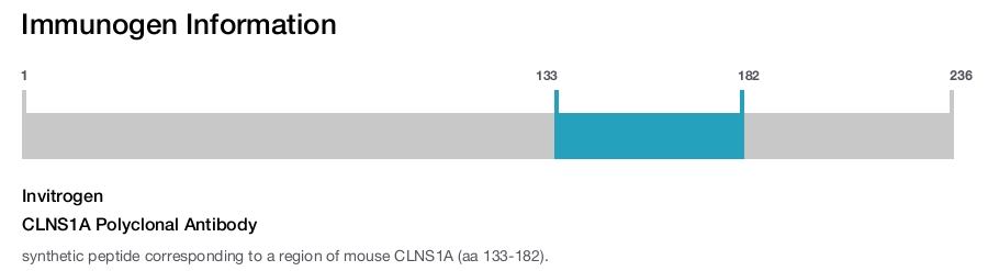 CLNS1A Polyclonal Antibody