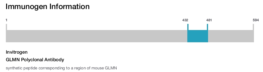 GLMN Polyclonal Antibody