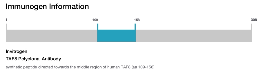 TAF8 Polyclonal Antibody