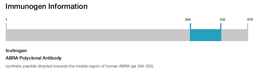 ABRA Polyclonal Antibody