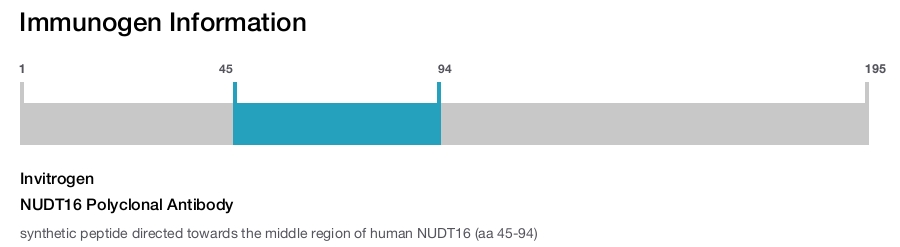 NUDT16 Polyclonal Antibody