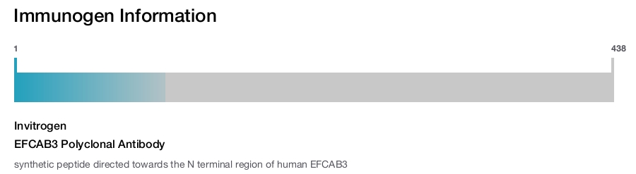 EFCAB3 Polyclonal Antibody