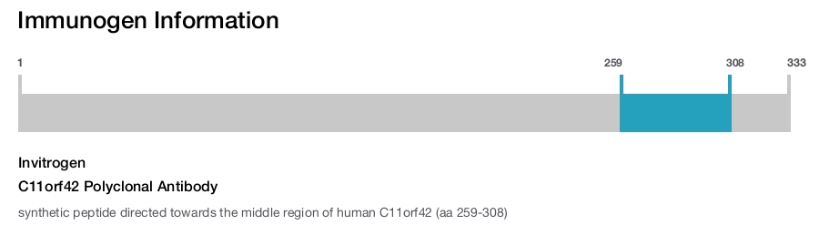 C11orf42 Polyclonal Antibody