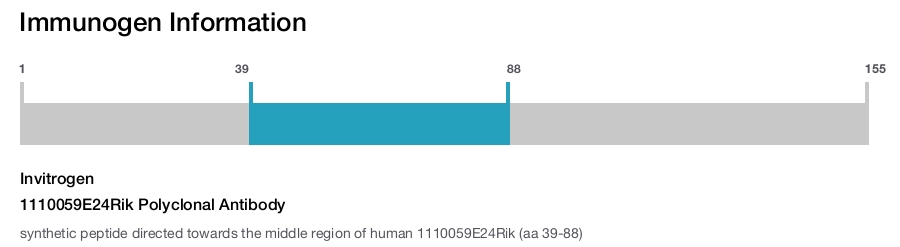 1110059E24Rik Polyclonal Antibody