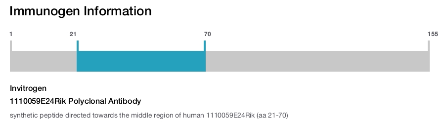 1110059E24Rik Polyclonal Antibody