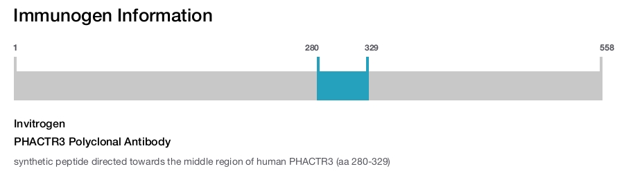 PHACTR3 Polyclonal Antibody