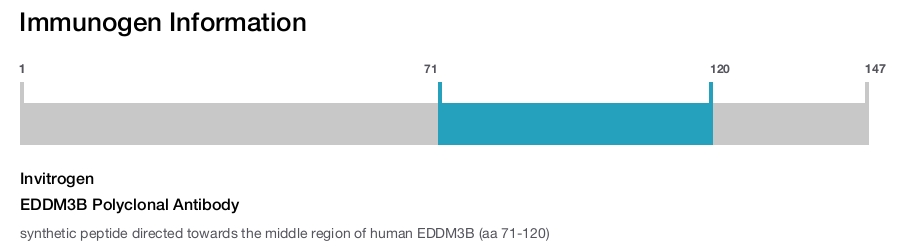 EDDM3B Polyclonal Antibody