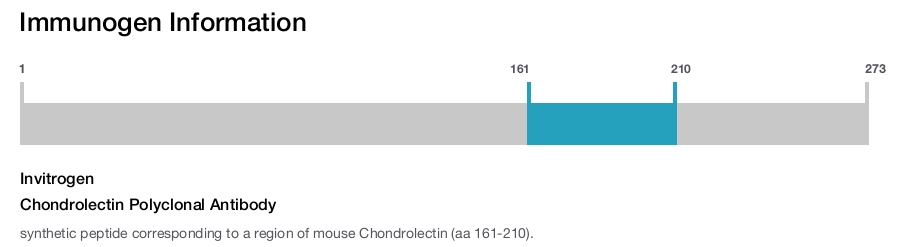 Chondrolectin Polyclonal Antibody