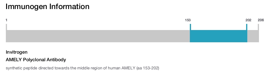 AMELY Polyclonal Antibody