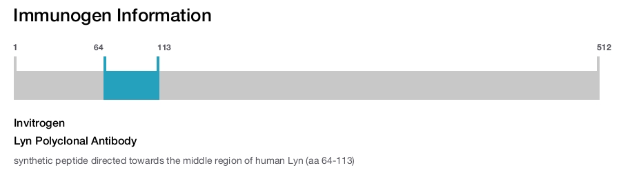 Lyn Polyclonal Antibody