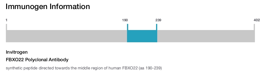 FBXO22 Polyclonal Antibody