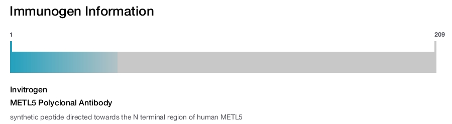 METL5 Polyclonal Antibody