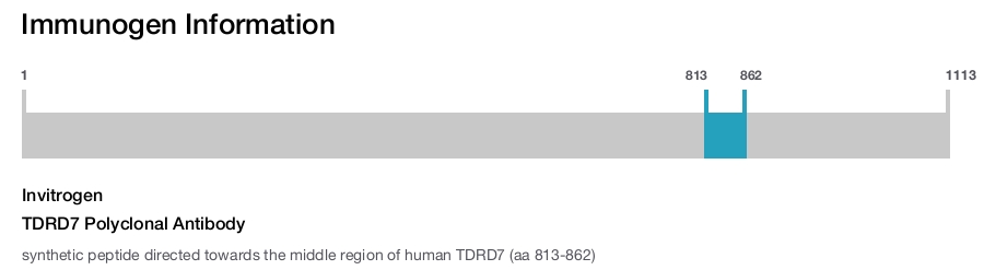 TDRD7 Polyclonal Antibody