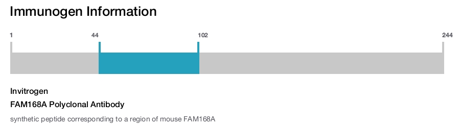 FAM168A Polyclonal Antibody