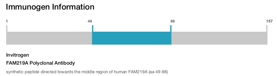 FAM219A Polyclonal Antibody