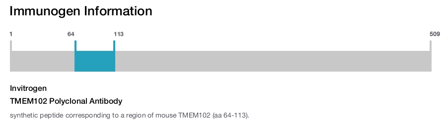 TMEM102 Polyclonal Antibody