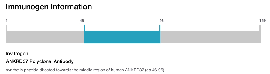 ANKRD37 Polyclonal Antibody