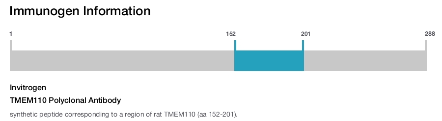 TMEM110 Polyclonal Antibody