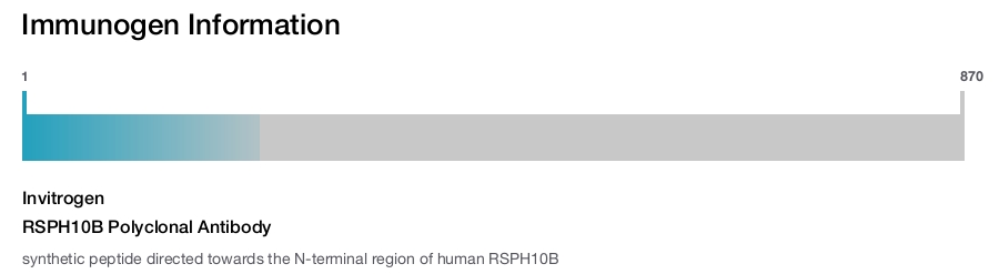 RSPH10B Polyclonal Antibody