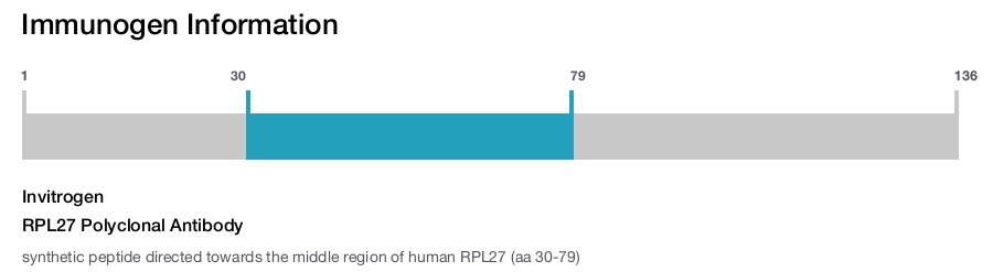 RPL27 Polyclonal Antibody