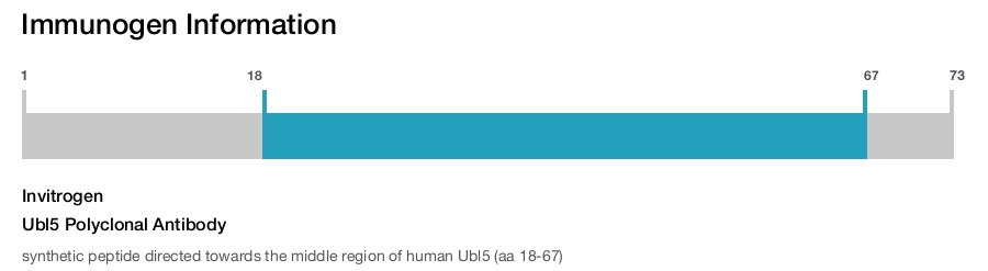 Ubl5 Polyclonal Antibody