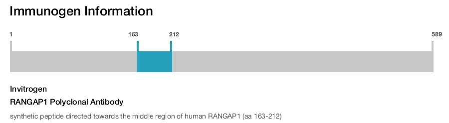 RANGAP1 Polyclonal Antibody