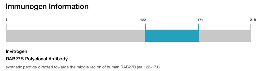 RAB27B Polyclonal Antibody
