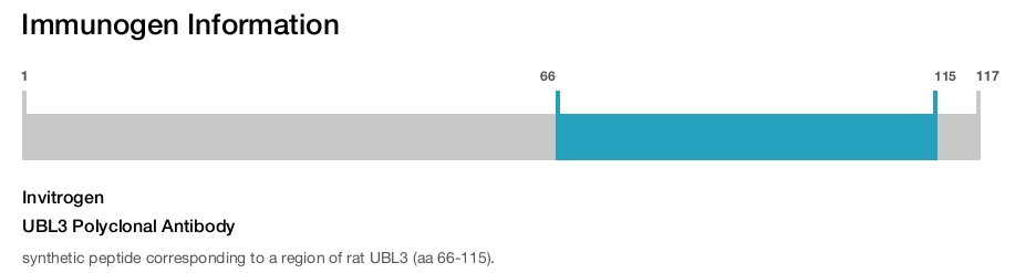 UBL3 Polyclonal Antibody