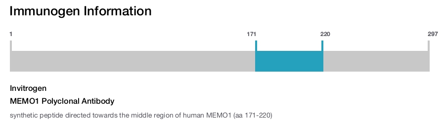MEMO1 Polyclonal Antibody