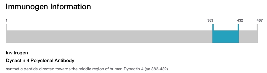 Dynactin 4 Polyclonal Antibody