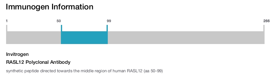 RASL12 Polyclonal Antibody