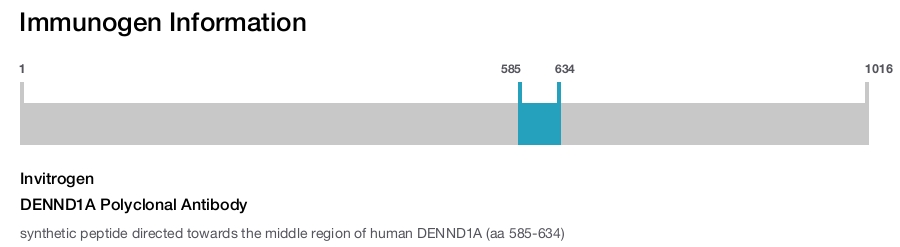 DENND1A Polyclonal Antibody