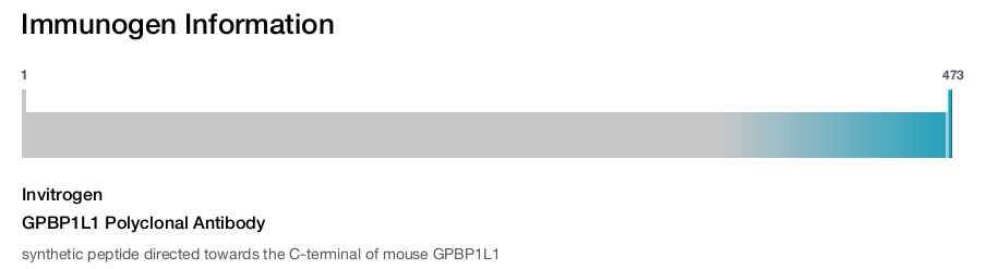 GPBP1L1 Polyclonal Antibody