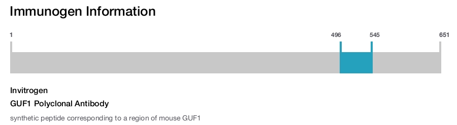 GUF1 Polyclonal Antibody