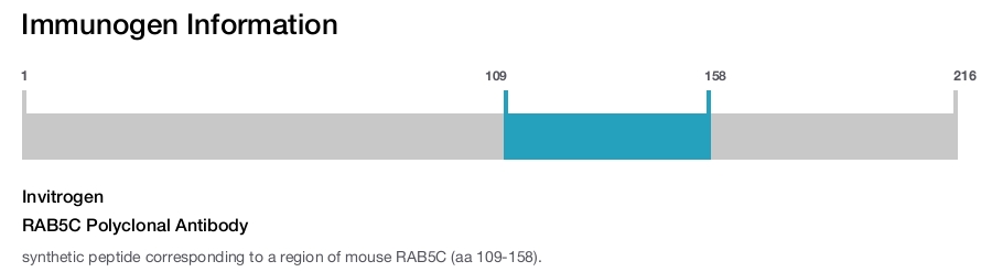 RAB5C Polyclonal Antibody