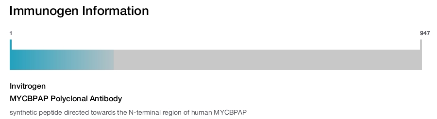 MYCBPAP Polyclonal Antibody