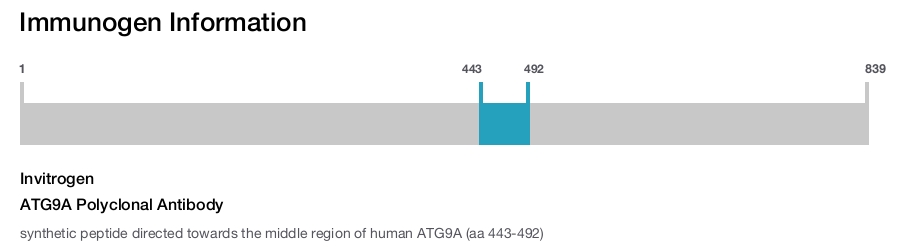 ATG9A Polyclonal Antibody