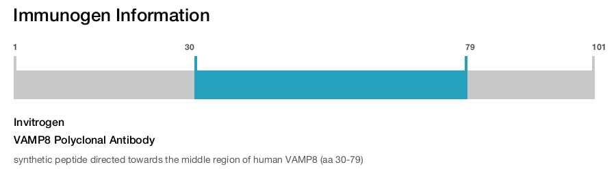 VAMP8 Polyclonal Antibody