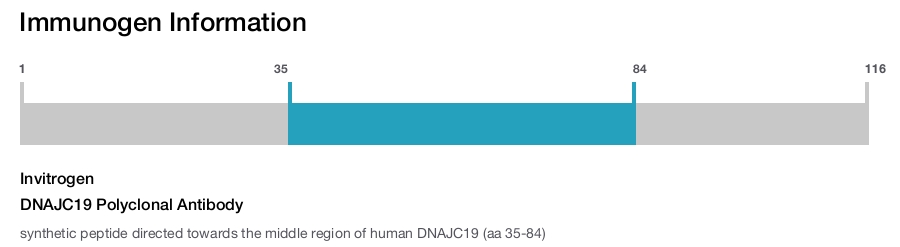 DNAJC19 Polyclonal Antibody