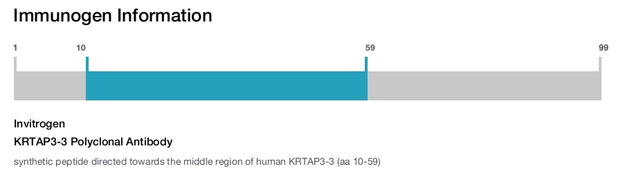 KRTAP3-3 Polyclonal Antibody
