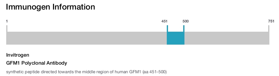 GFM1 Polyclonal Antibody