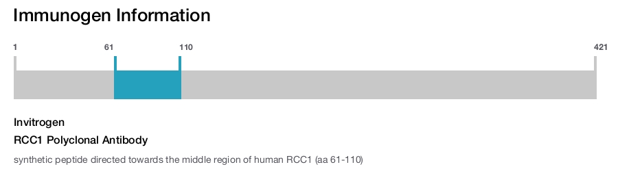 RCC1 Polyclonal Antibody
