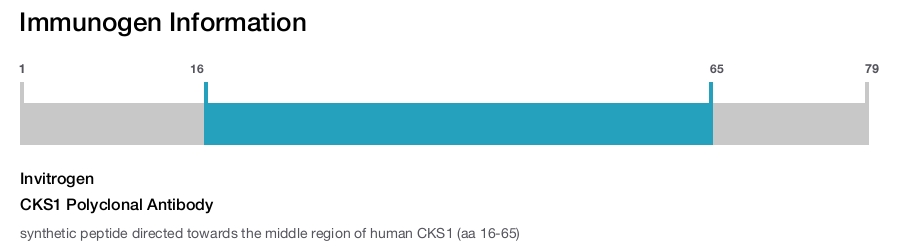CKS1 Polyclonal Antibody