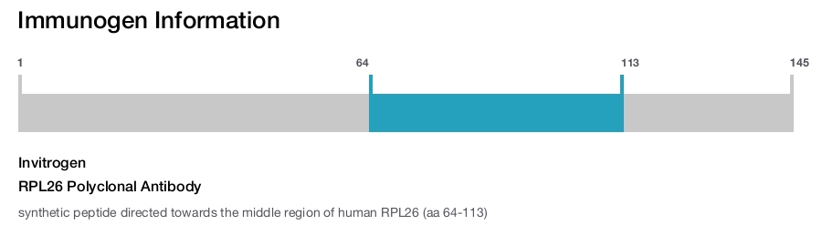 RPL26 Polyclonal Antibody