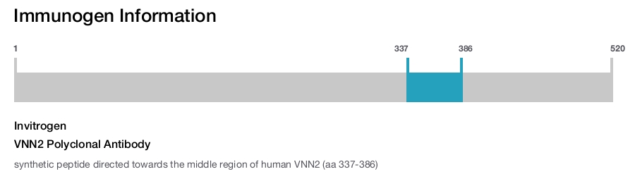 VNN2 Polyclonal Antibody