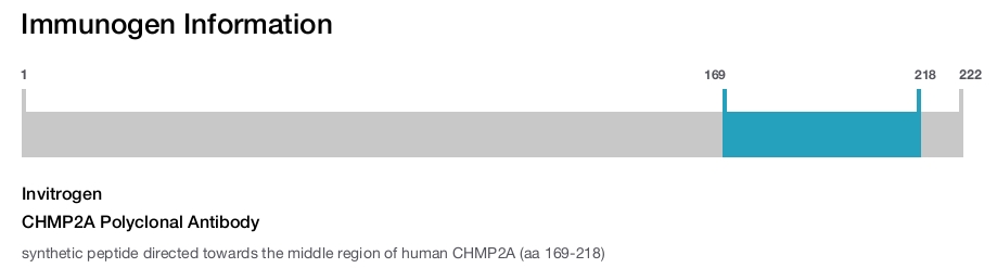 CHMP2A Polyclonal Antibody